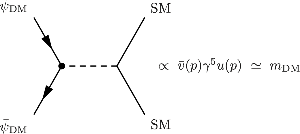 DM-annihilation-with-gamma5